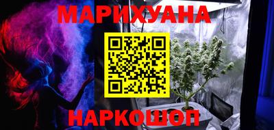 Альфа ПВП Дубна