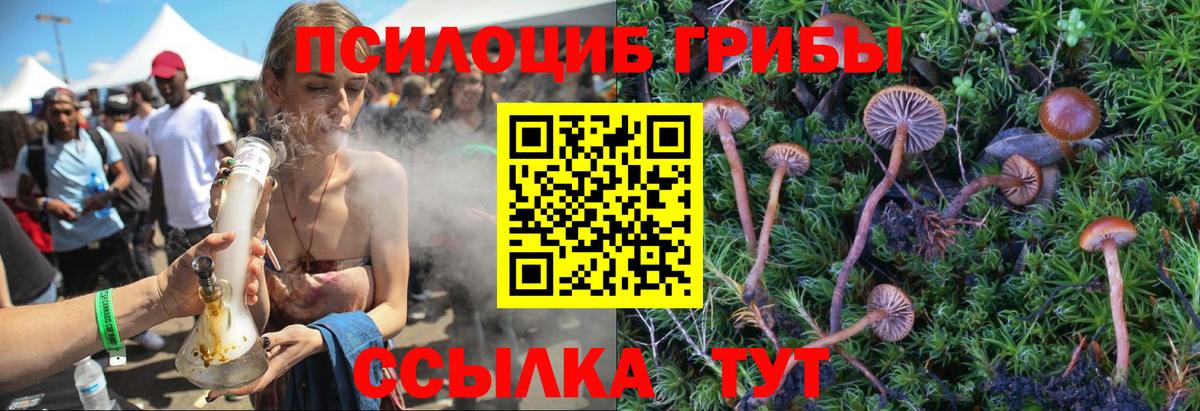Галлюциногенные грибы мухоморы Нерюнгри