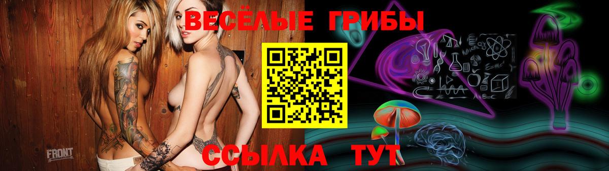 Галлюциногенные грибы GOLDEN TEACHER  Вход с VPN  Нерюнгри 